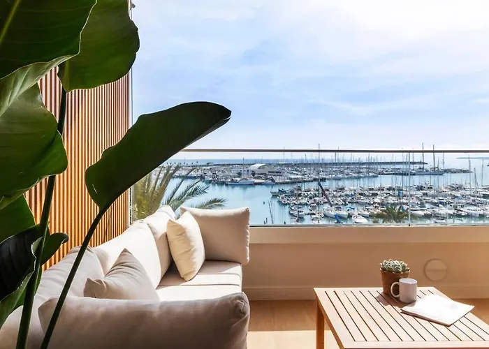 Pink Frontline Premium Torrevieja